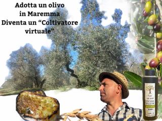Adotta un olivo e fai un weekend in Maremma