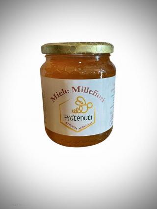 Miele millefiori 500 g 